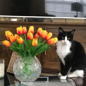 Meet your Posher, Jack